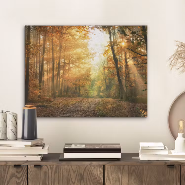 Bos - Herfst - Zon - Landschap - Natuur - Bomen - Bladeren PET vilt klein -sfeer1