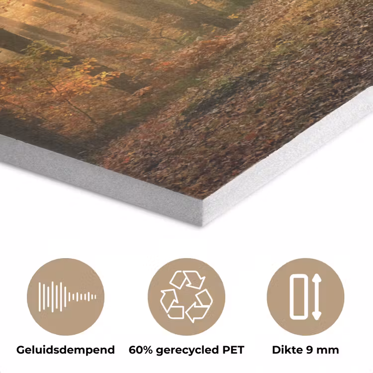 Bos - Herfst - Zon - Landschap - Natuur - Bomen - Bladeren PET vilt klein -closeup_NL