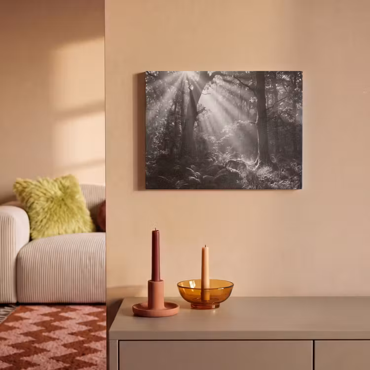 Bos - Lichtstralen - Natuur - Zwart-wit PET vilt klein -sfeer1
