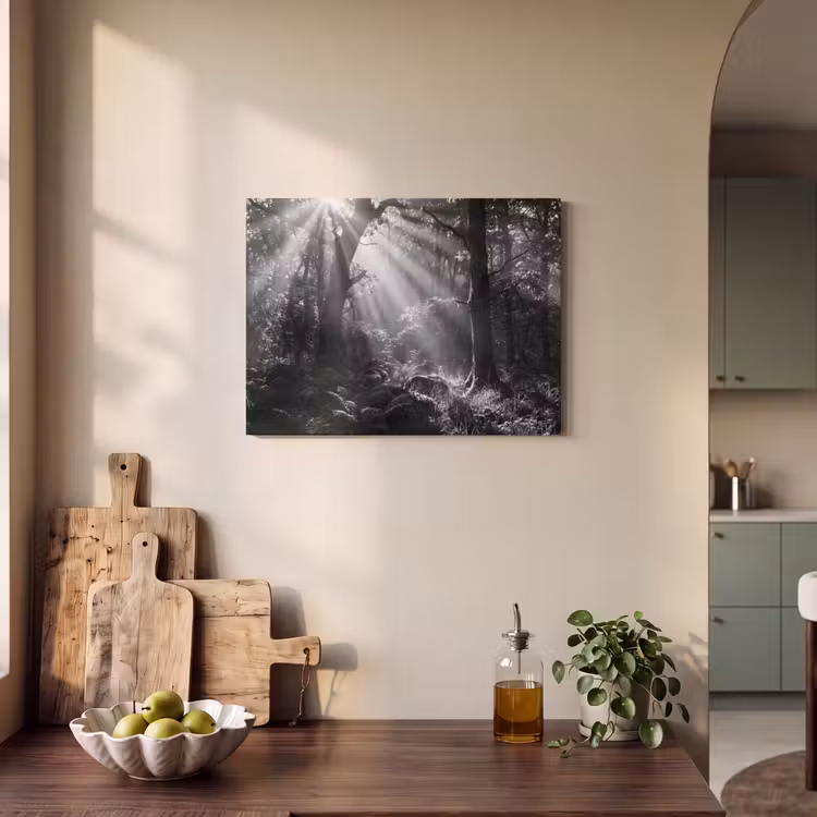 Bos - Lichtstralen - Natuur - Zwart-wit PET vilt klein -sfeer2