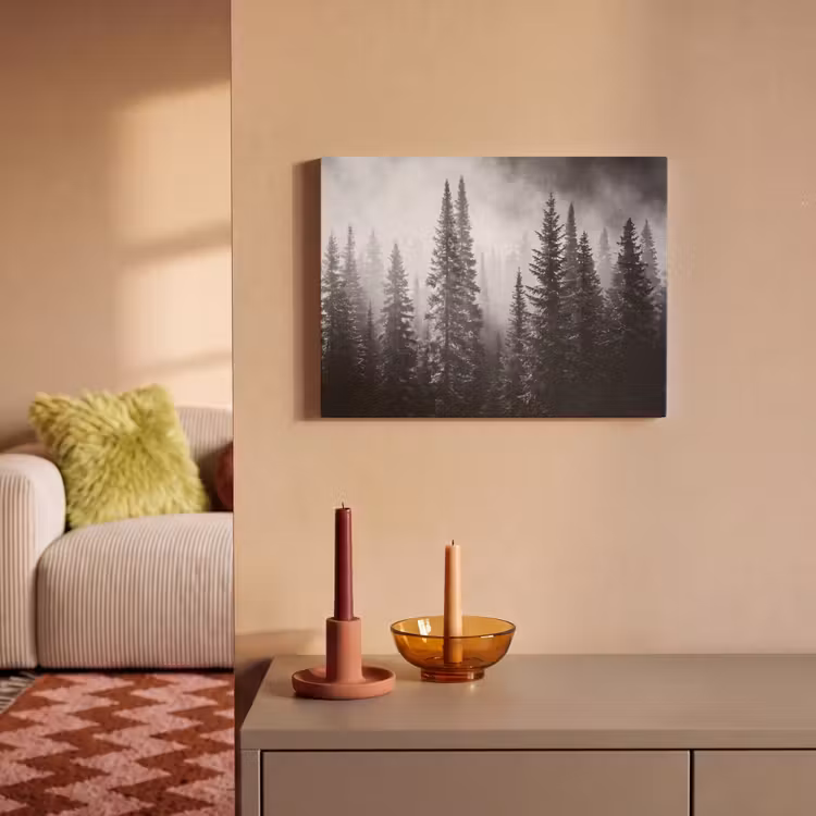 Bos - Mist - Winter - Monochroom - Natuur PET vilt klein -sfeer1