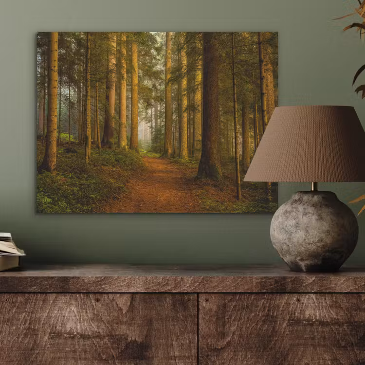 Bos - Natuur - Bomen - Landschap - Bladeren PET vilt klein -sfeer2