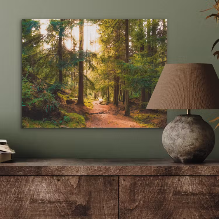Bos - Pad - Bomen - Groen - Zon - Natuur PET vilt klein -sfeer2
