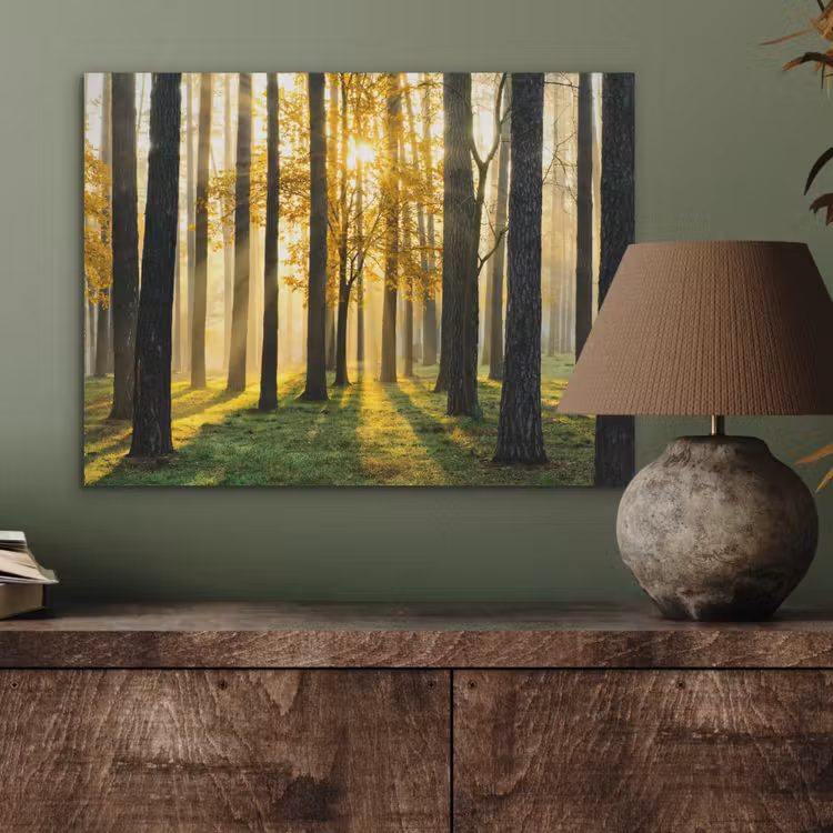 Bos - Zon - Bomen - Gras - Landschap - Natuur PET vilt klein -sfeer2