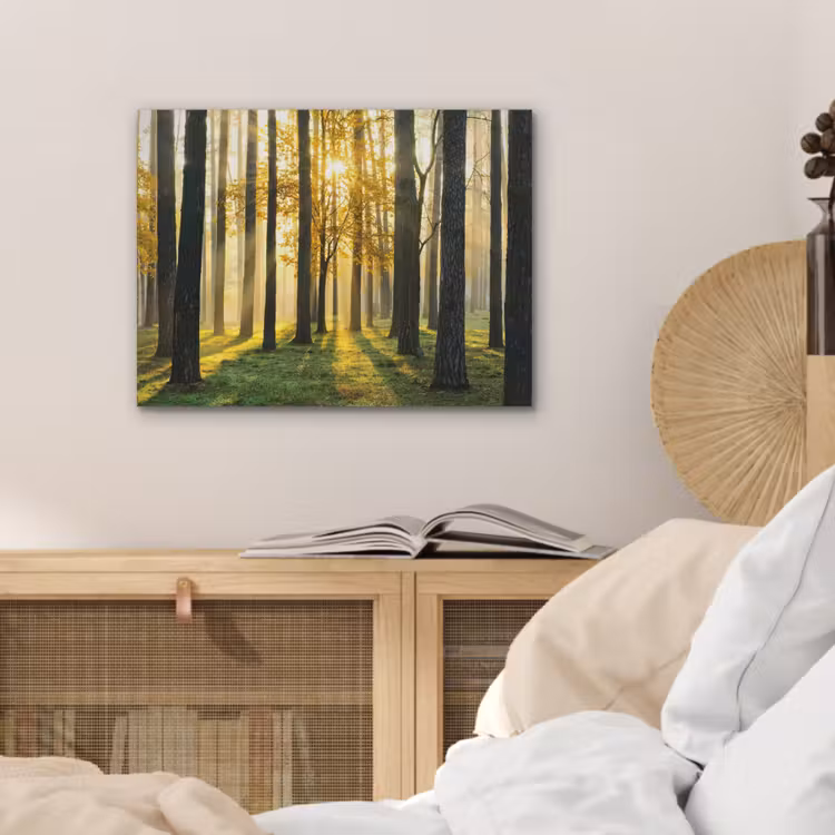 Bos - Zon - Bomen - Gras - Landschap - Natuur PET vilt klein -sfeer3