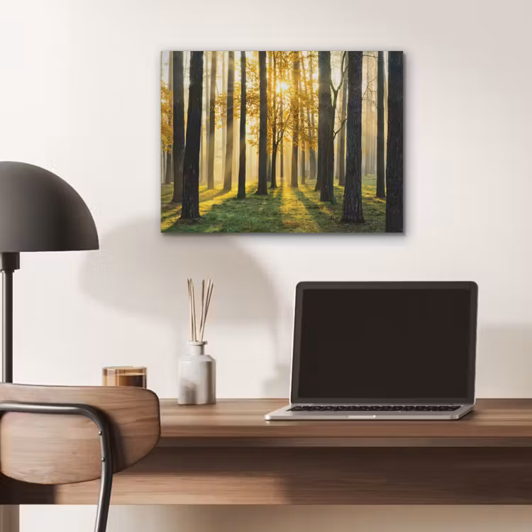 Bos - Zon - Bomen - Gras - Landschap - Natuur PET vilt klein -sfeer5