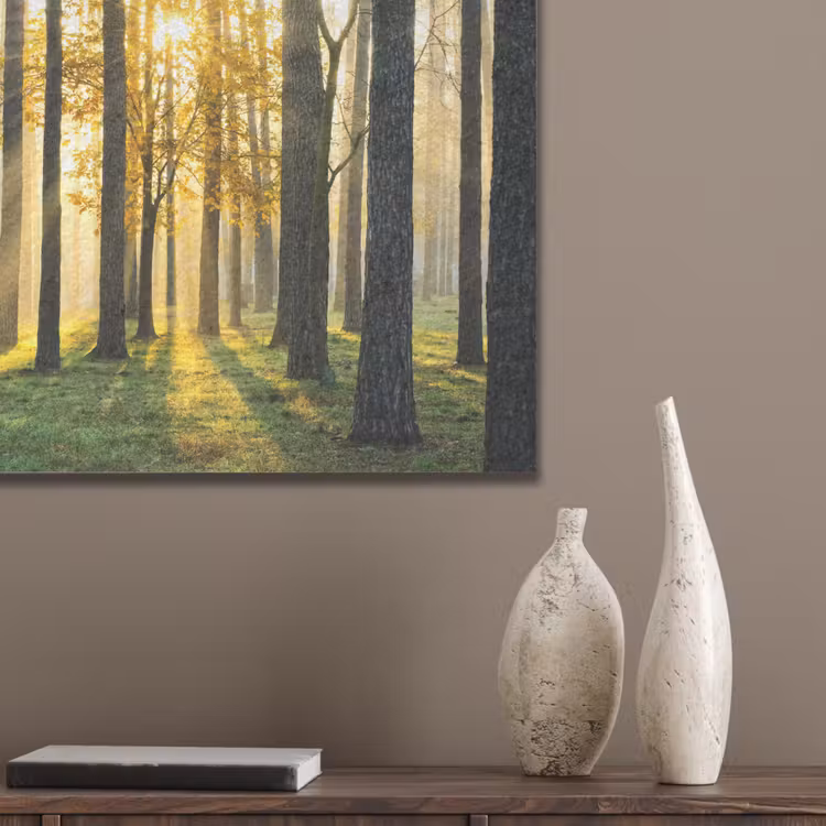 Bos - Zon - Bomen - Gras - Landschap - Natuur PET vilt klein -sfeer6_closeup