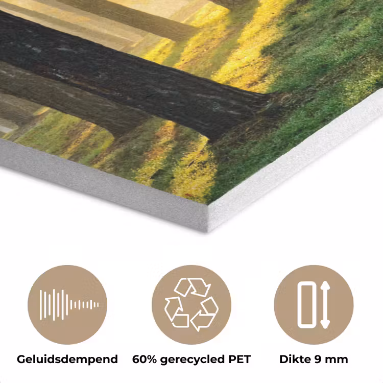 Bos - Zon - Bomen - Gras - Landschap - Natuur PET vilt klein -closeup_NL