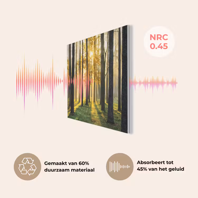 Bos - Zon - Bomen - Gras - Landschap - Natuur PET vilt klein -USP_NL