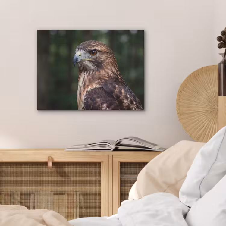 Buizerd - Roofvogel - Natuur - Bruin PET vilt klein -sfeer3