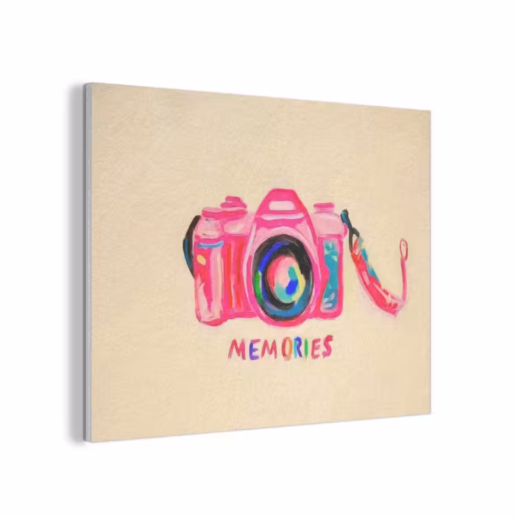 Camera - Memories - Roze - Geschilderd PET vilt klein -3d