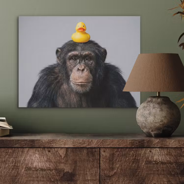 Chimpansee - Badeend - Grijs PET vilt klein -sfeer2