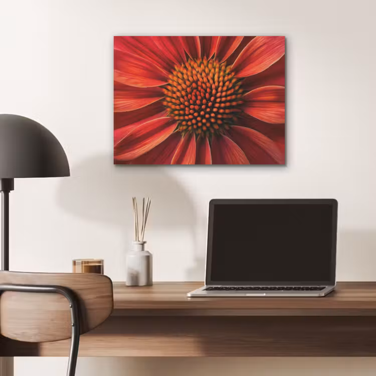 Close up - Bloem- Rood PET vilt klein -sfeer5