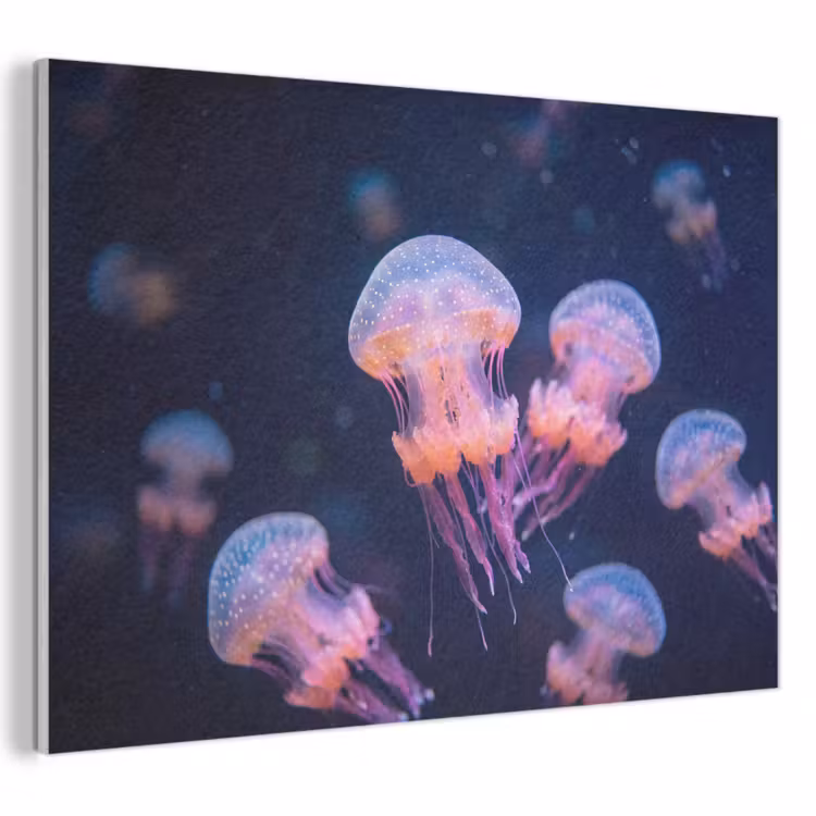 Dier - Onderwater - Natuur - Roze - Mysterieus PET vilt klein -3d