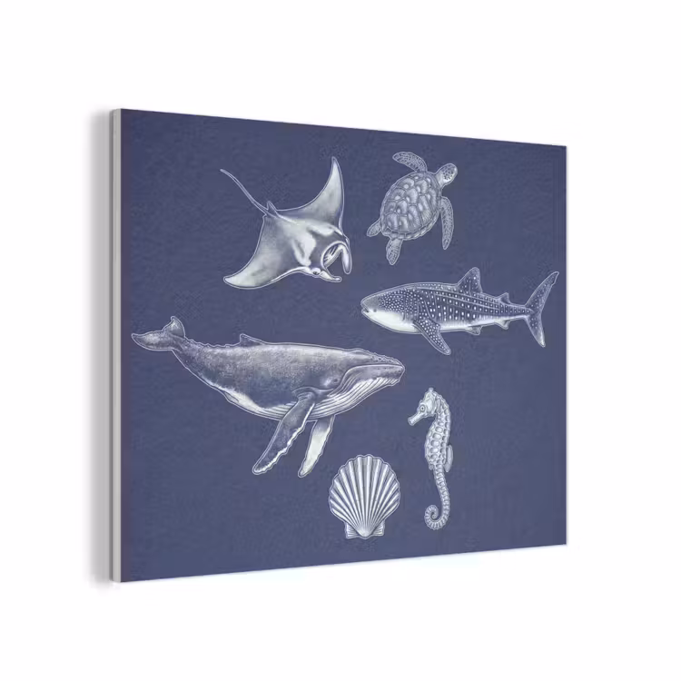 Dieren - Zeeleven - Oceaan - Graveren - Blauw PET vilt klein -3d