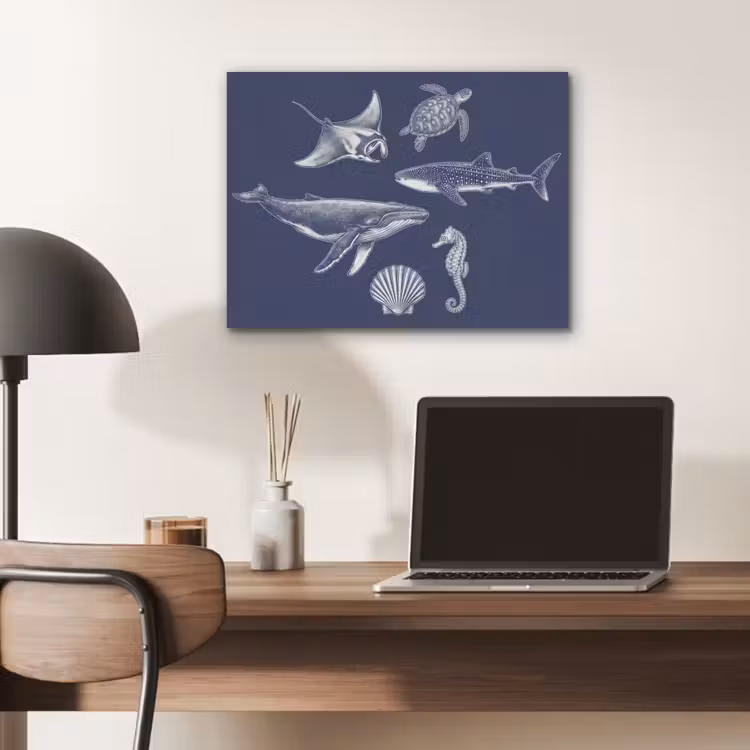 Dieren - Zeeleven - Oceaan - Graveren - Blauw PET vilt klein -sfeer5