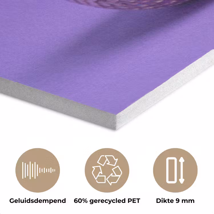 Disco - Eend - Paars PET vilt klein -closeup_NL