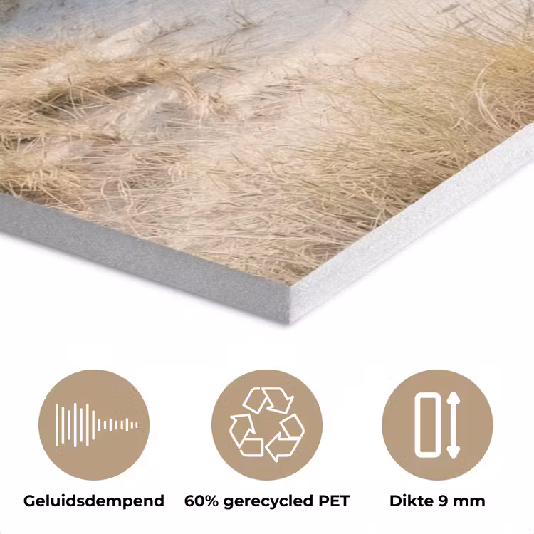 Duinen - Strand - Beige PET vilt klein -closeup_NL