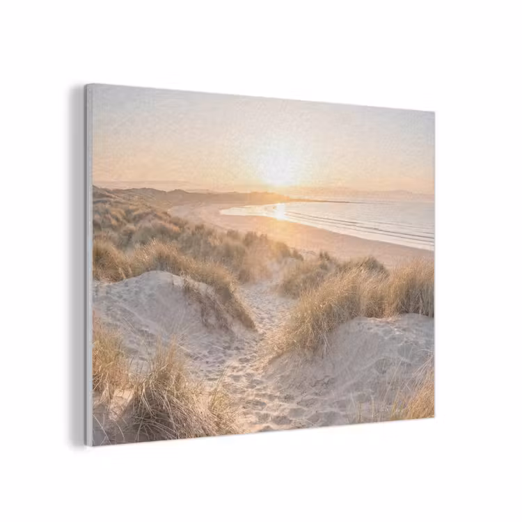 Duinen - Strand - Zee PET vilt klein -3d