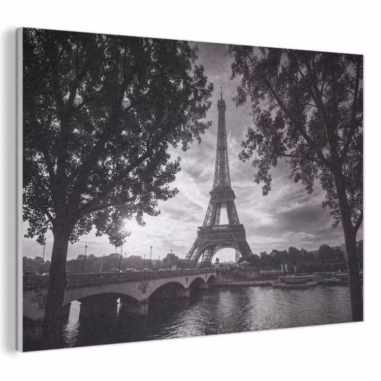 Eiffeltoren - Parijs - Rivier - Architectuur - Zwart-wit PET vilt klein -3d