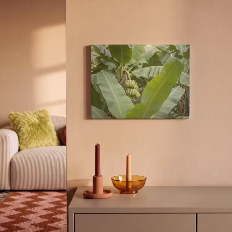 Eten - Bananen - Plantage - Groen PET vilt klein -sfeer1