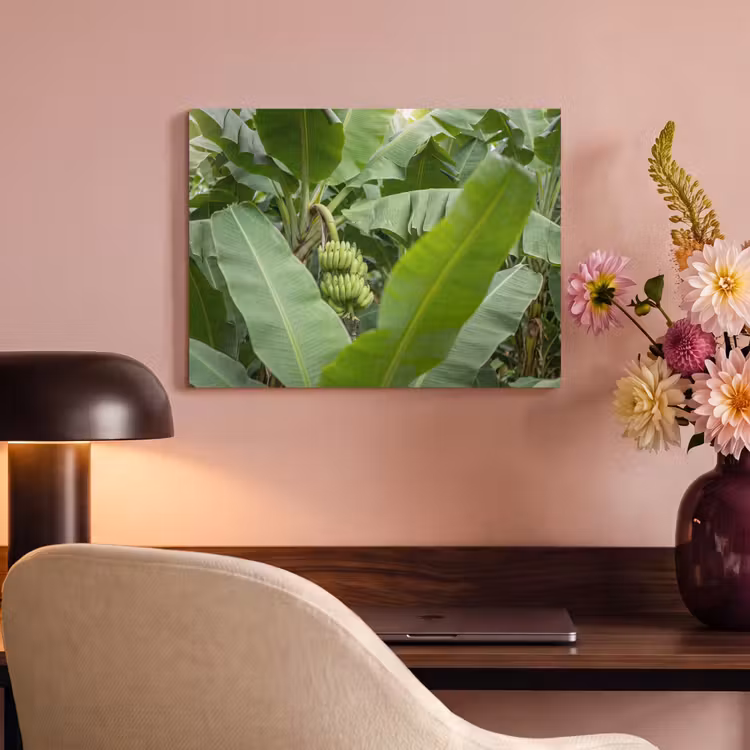 Eten - Bananen - Plantage - Groen PET vilt klein -sfeer3