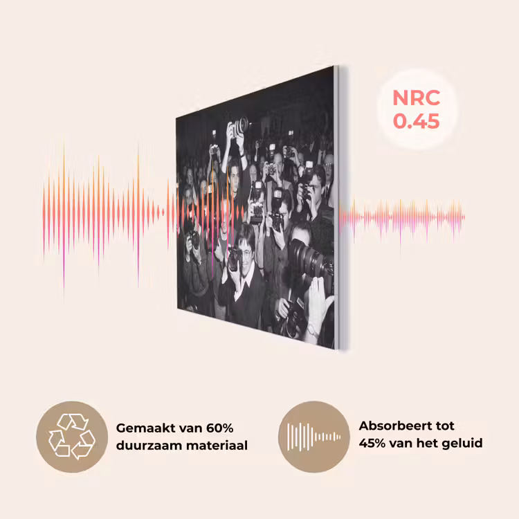 Fotografen - Menigte - Flitsers - Journalistiek PET vilt klein -USP_NL