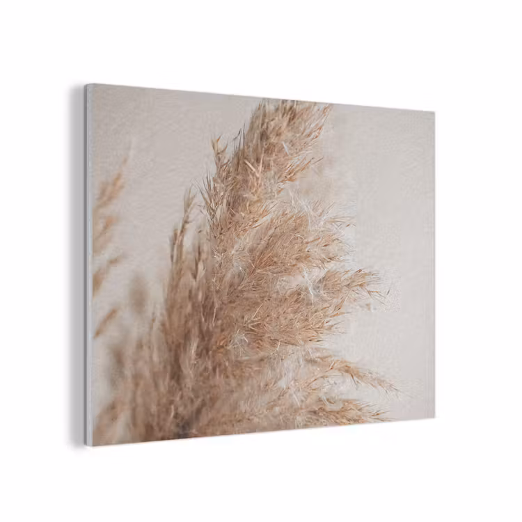 Gras - Planten - Natuur - Pampasgras PET vilt klein -3d