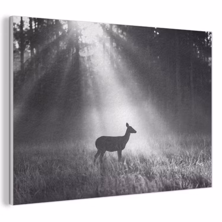 Hert - Bos - Zonnestralen - Zwart-wit - Natuur PET vilt klein -3d