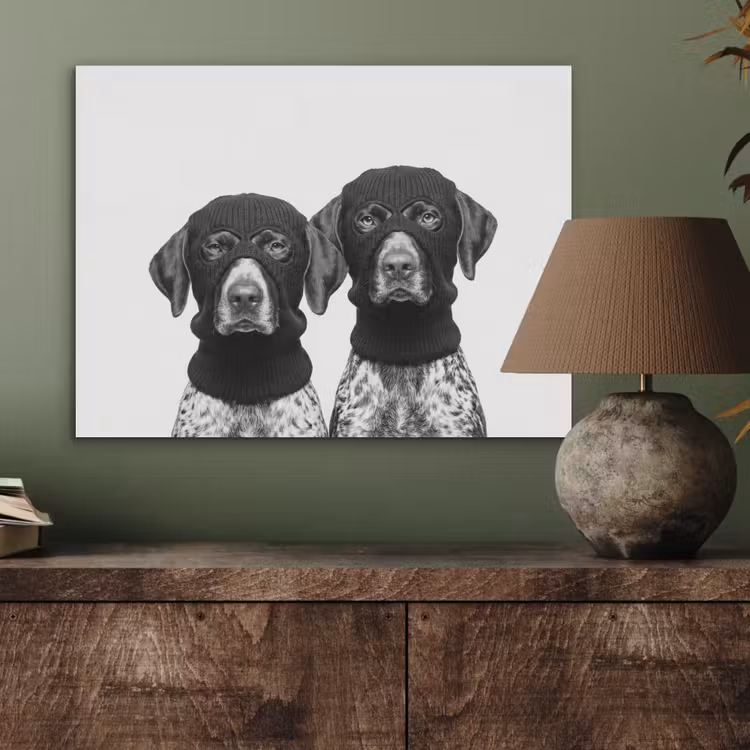 Honden - Bivakmuts - Zwart - wit PET vilt klein -sfeer2