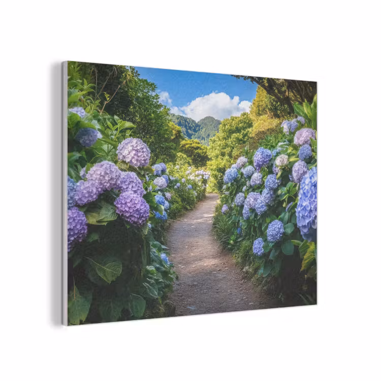 Hortsensia - Pad - Bloemen PET vilt klein -3d