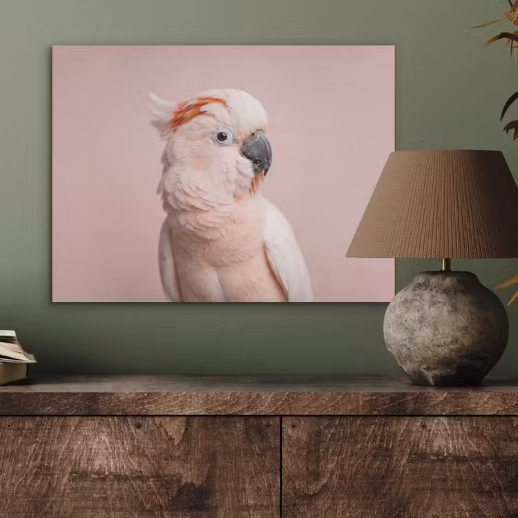 Kaketoe - Portret - Roze PET vilt klein -sfeer2