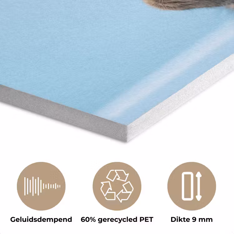 Kat - Handdoek - Washand - Zeep PET vilt klein -closeup_NL