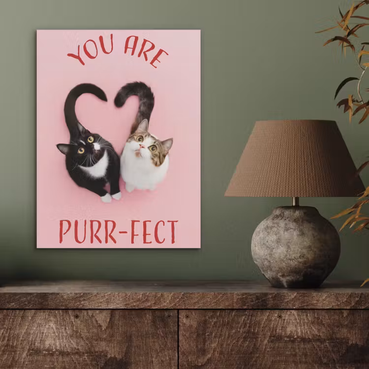 Kat - Hart - Tekst - Valentijn PET vilt klein -sfeer2