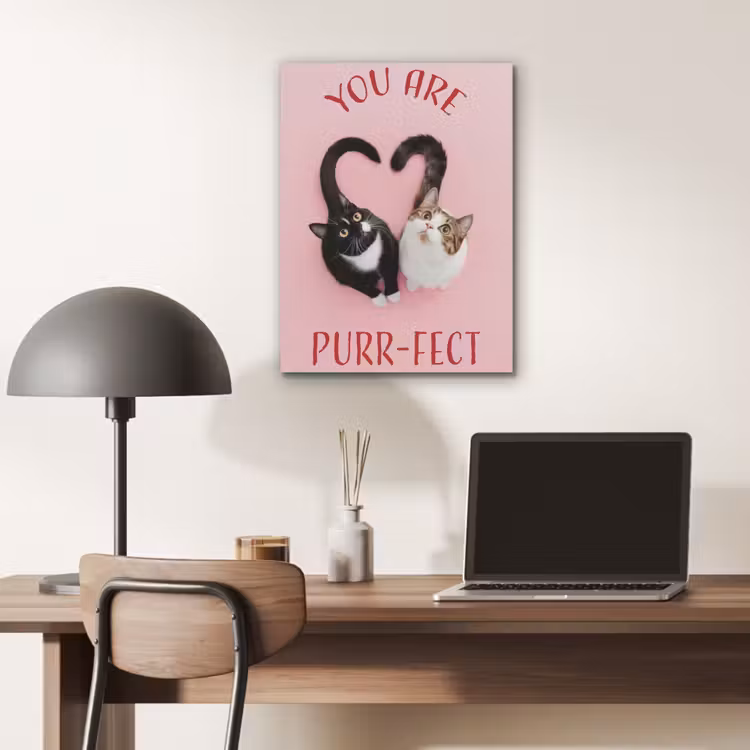 Kat - Hart - Tekst - Valentijn PET vilt klein -sfeer5
