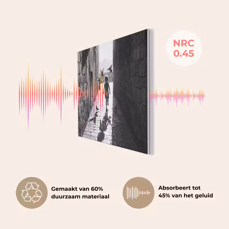 Kind - Vogel - Straat - Zwart-wit - Spelen PET vilt klein -USP_NL
