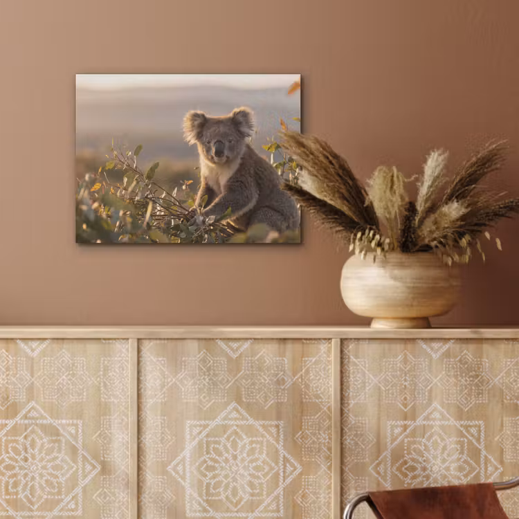 Koala - Bladeren - Ochtendlicht PET vilt klein -sfeer4