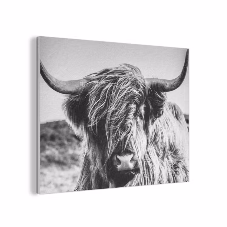 Koe - Schotse hooglander - Zwart - Wit - Dier - Natuur - Wild PET vilt klein -3d