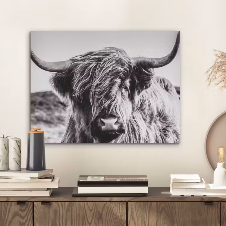 Koe - Schotse hooglander - Zwart - Wit - Dier - Natuur - Wild PET vilt klein -sfeer1