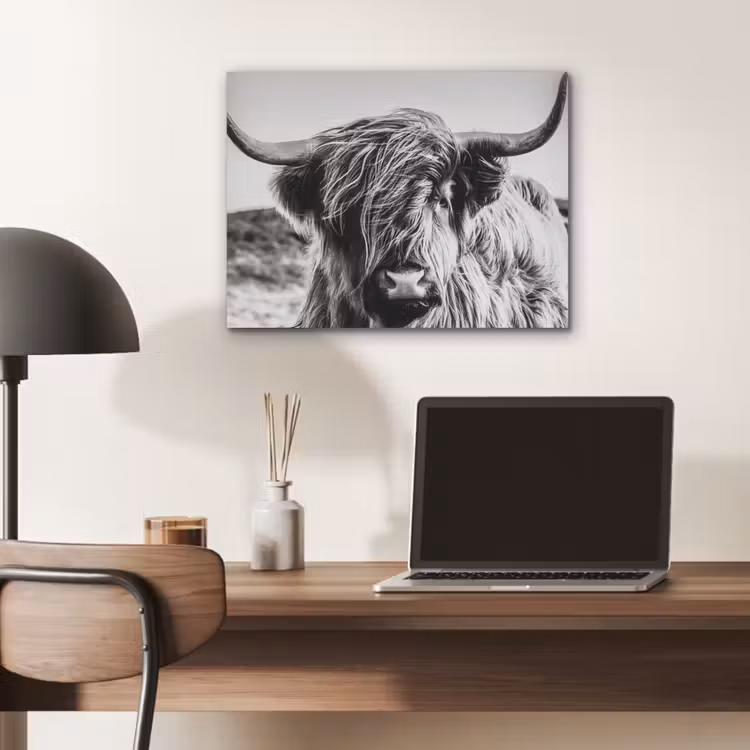 Koe - Schotse hooglander - Zwart - Wit - Dier - Natuur - Wild PET vilt klein -sfeer5
