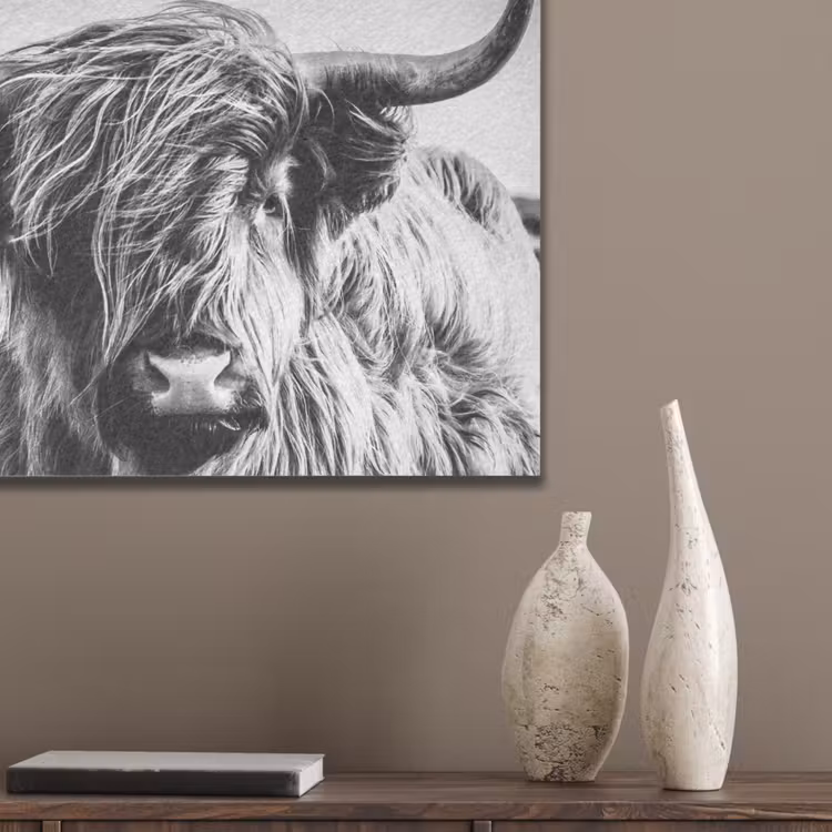 Koe - Schotse hooglander - Zwart - Wit - Dier - Natuur - Wild PET vilt klein -sfeer6_closeup