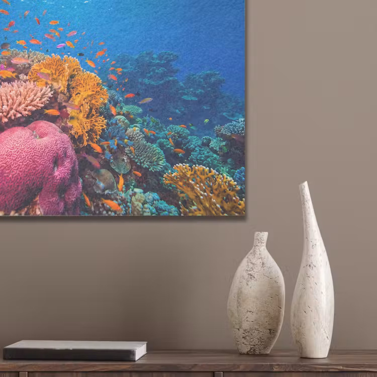 Koraal - Vissen - Oceaan - Natuur - Kleurrijk PET vilt klein -sfeer6_closeup