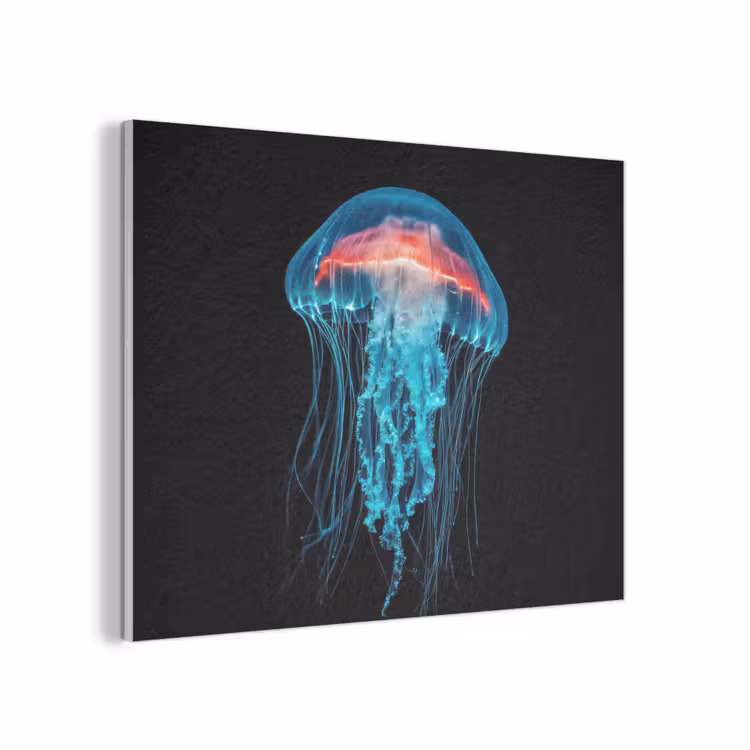Kwal - Tentakels - Blauw - Licht PET vilt klein -3d