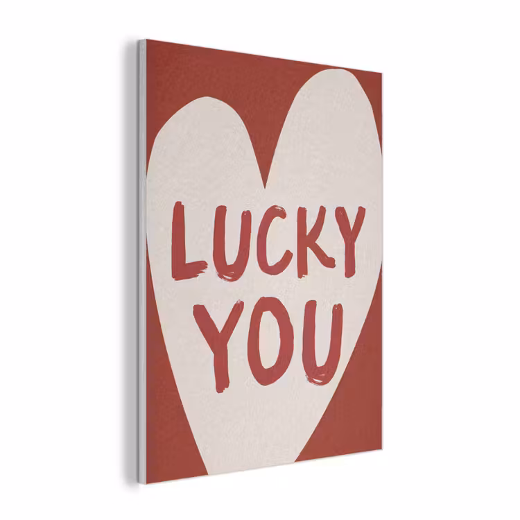 Lucky - Hart - Rood PET vilt klein -3d