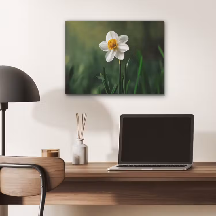 Narcis - Bloem - Wit - Grassprieten PET vilt klein -sfeer5