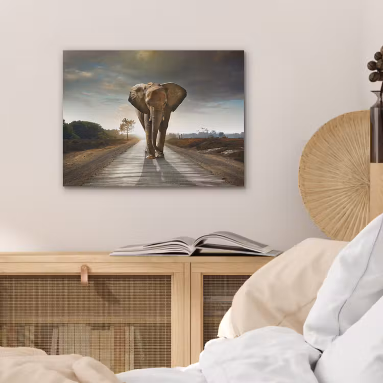 Olifant - Weg - Dieren - Zonsondergang - Landschap PET vilt klein -sfeer3