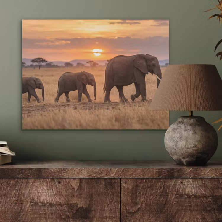 Olifanten - Savanne - Zonsondergang - Afrika - Warm PET vilt klein -sfeer2
