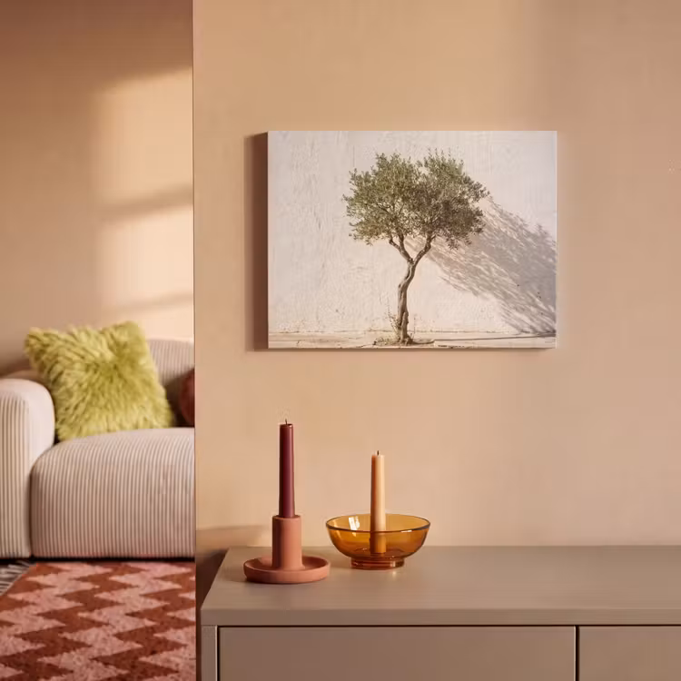 Akoestisch schilderij - Olijfboom - muur - wit - Olijfboom - muur - wit PET vilt klein