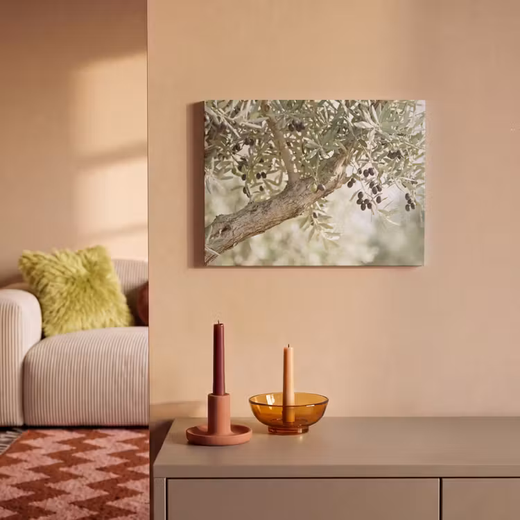 Akoestisch schilderij - Olijfboom - tak - groen - Olijfboom - tak - groen PET vilt klein