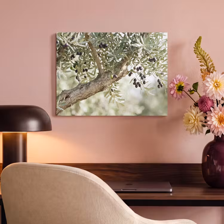 Akoestisch schilderij - Olijfboom - tak - groen - Olijfboom - tak - groen PET vilt klein